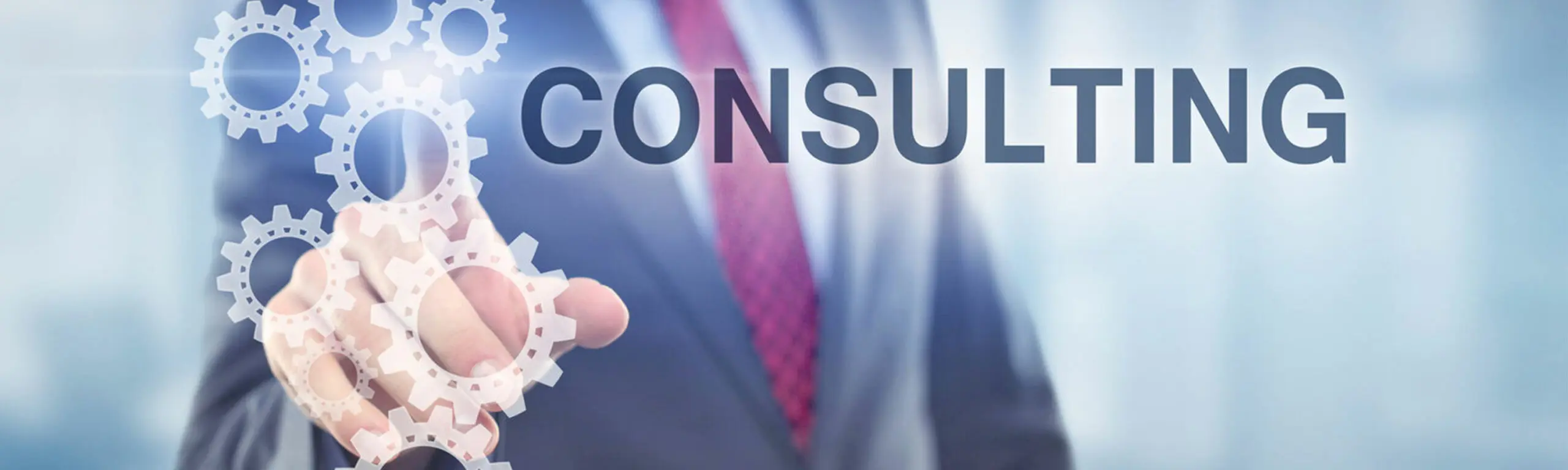 The Role of CX Consulting in Driving Business Success: How Consultants Help Companies Thrive in the Experience Economy